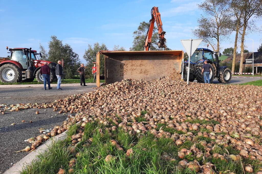 Wegdek bezaaid met net geoogste uien
