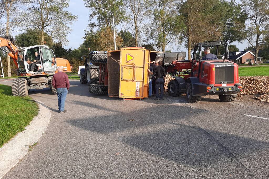 Wegdek bezaaid met net geoogste uien