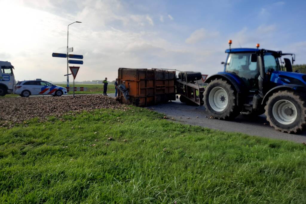 Wegdek bezaaid met net geoogste uien