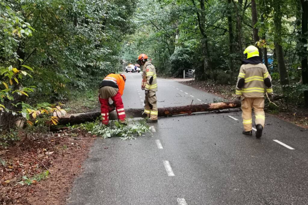 Brandweer zaagt twee gevaarlijk hangende bomen om