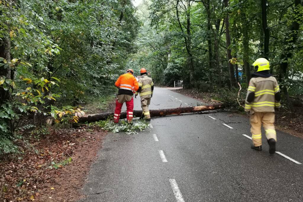 Brandweer zaagt twee gevaarlijk hangende bomen om