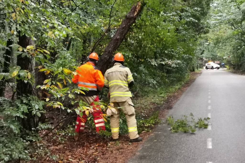 Brandweer zaagt twee gevaarlijk hangende bomen om