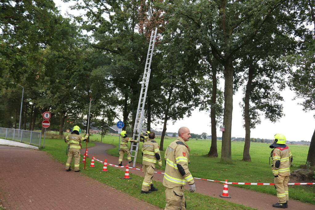 Gevaarlijke tak onbereikbaar door te korte ladder