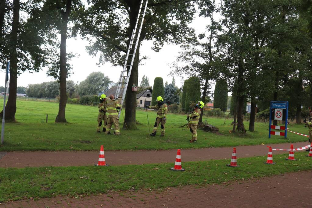 Gevaarlijke tak onbereikbaar door te korte ladder