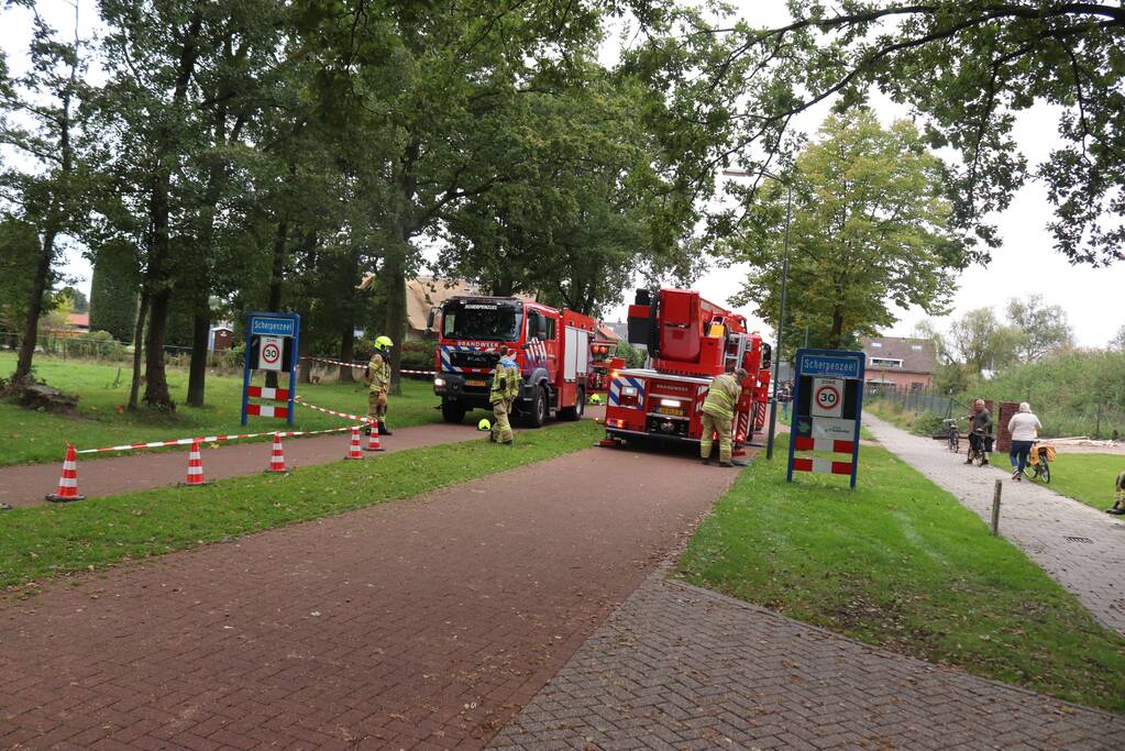 Gevaarlijke tak onbereikbaar door te korte ladder