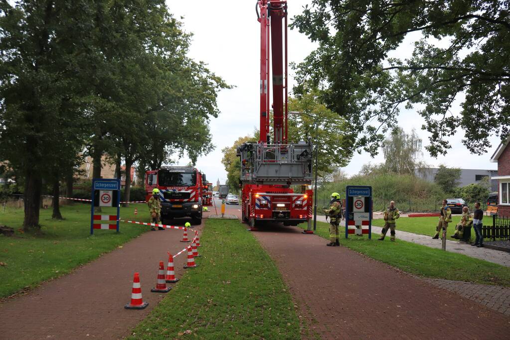 Gevaarlijke tak onbereikbaar door te korte ladder