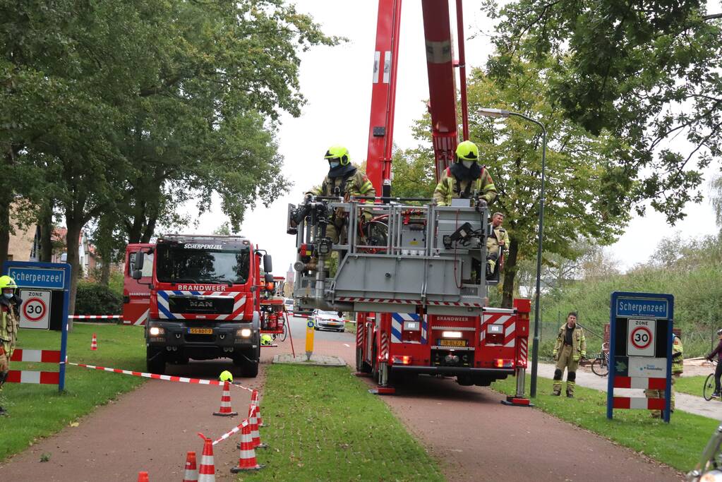 Gevaarlijke tak onbereikbaar door te korte ladder