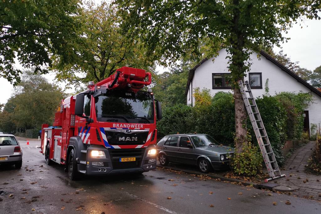 Kat door de brandweer uit de boom gehaald
