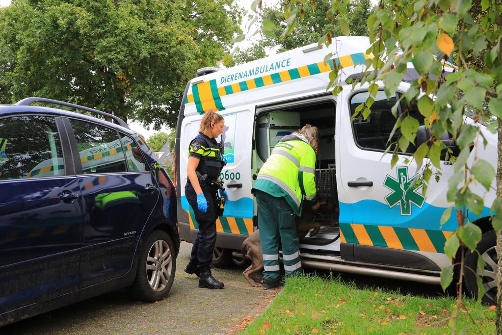 Politie ramt deur in en vindt overleden persoon