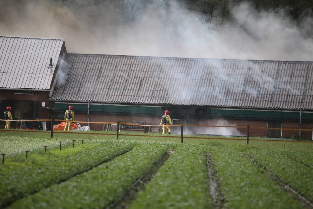 Grote brand in varkensstal gepaard met veel rook