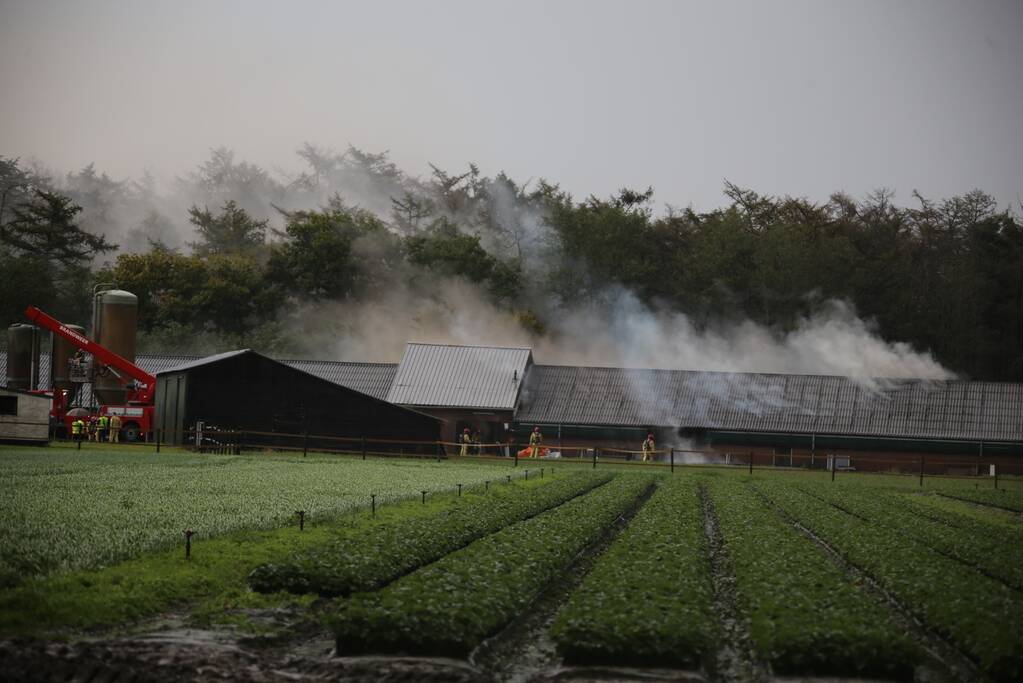 Grote brand in varkensstal gepaard met veel rook