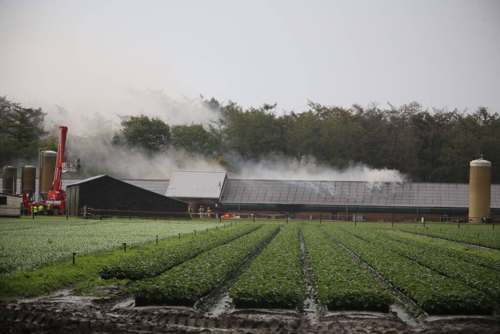Grote brand in varkensstal gepaard met veel rook