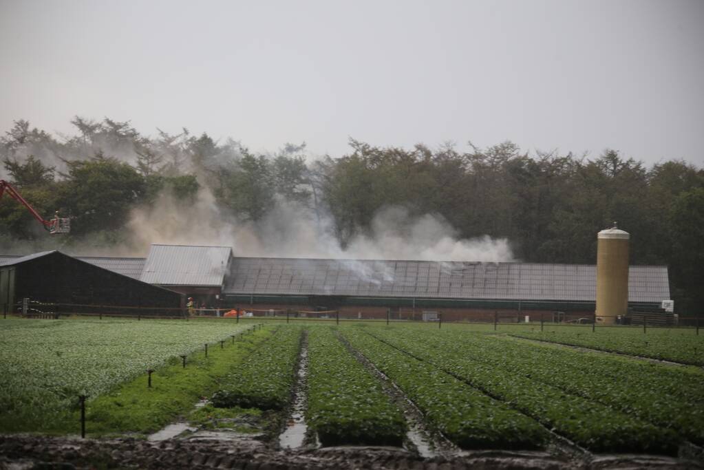 Grote brand in varkensstal gepaard met veel rook