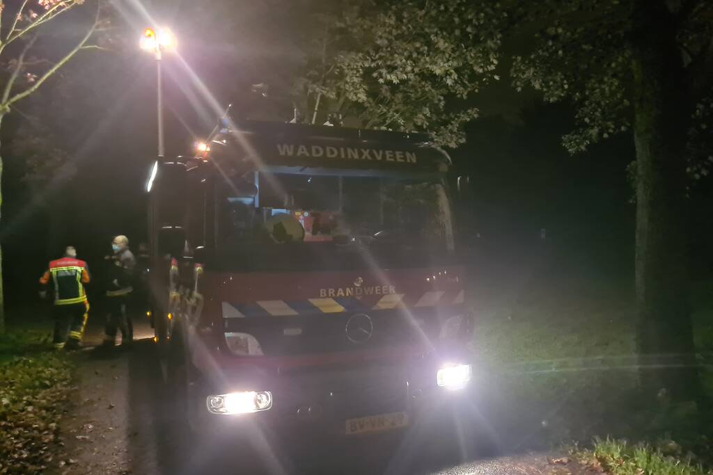 Nachtelijke reddingsactie voor koe te water