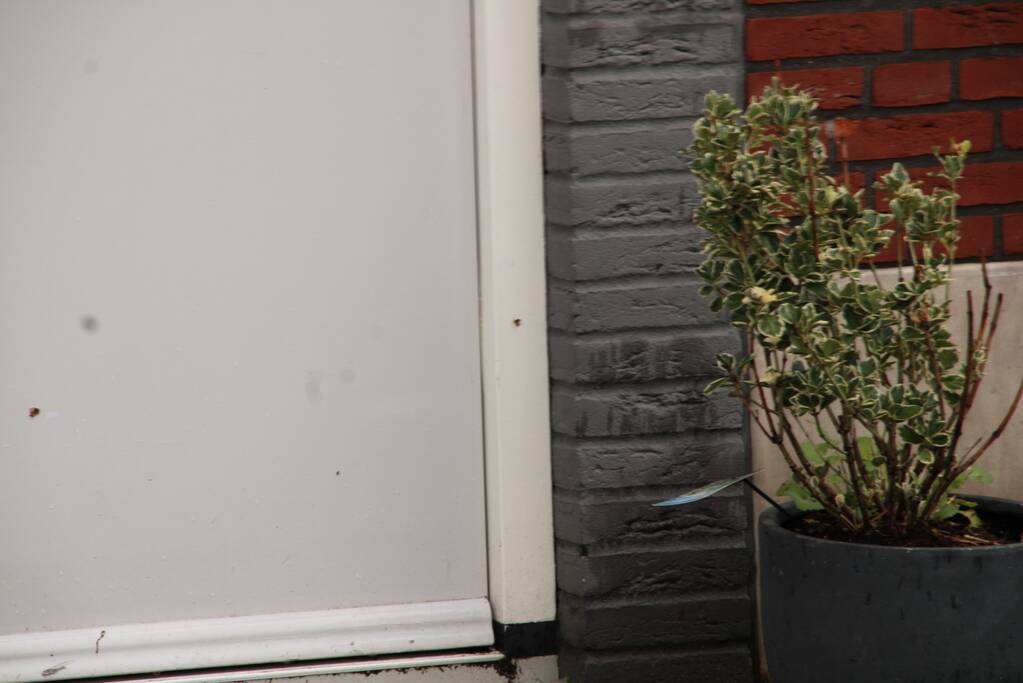 Geschoten op woning in Homeruskwartier