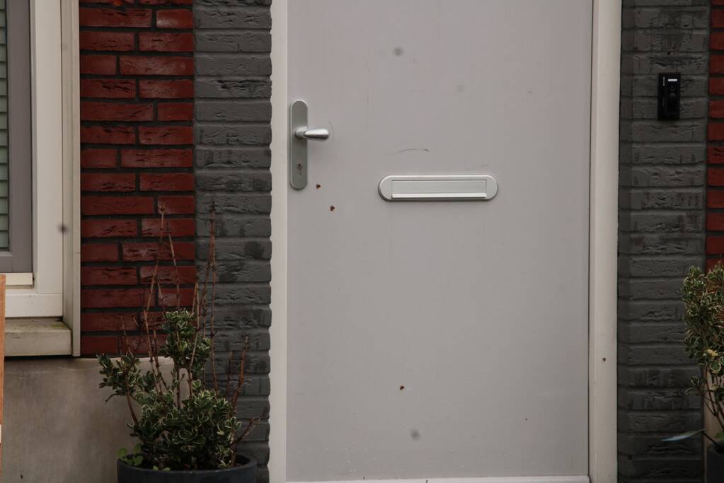 Geschoten op woning in Homeruskwartier