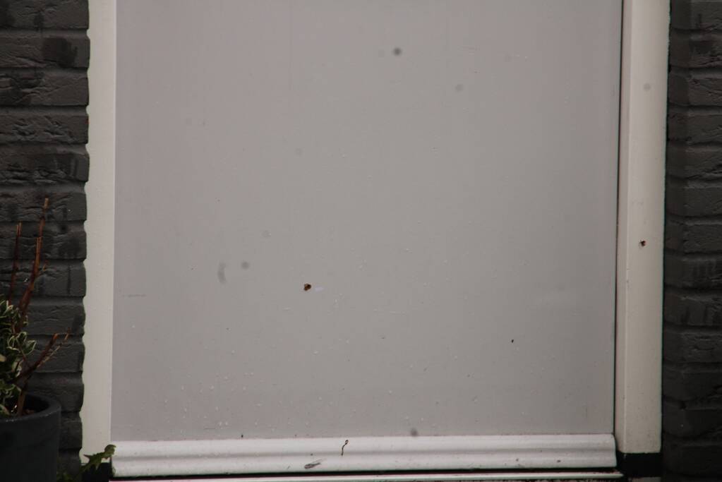 Geschoten op woning in Homeruskwartier