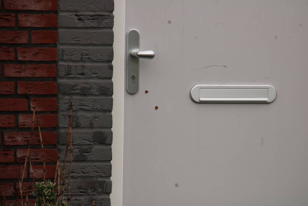 Geschoten op woning in Homeruskwartier