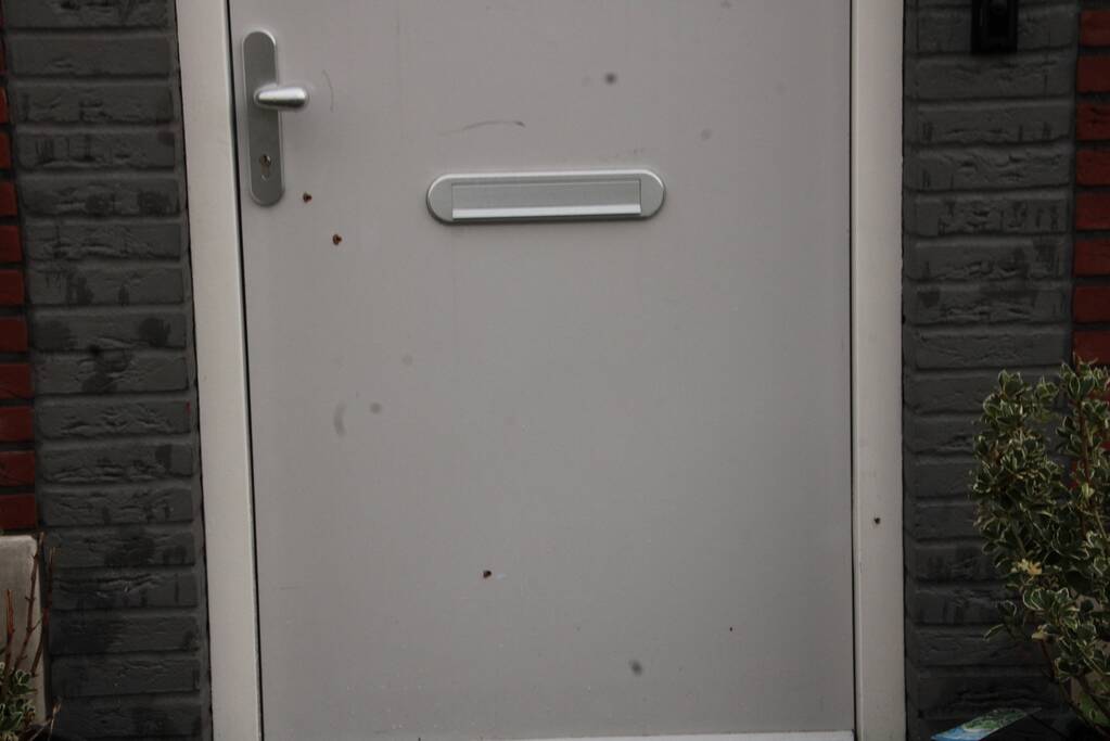 Geschoten op woning in Homeruskwartier