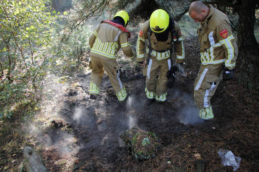 Brand in bosgebied snel geblust