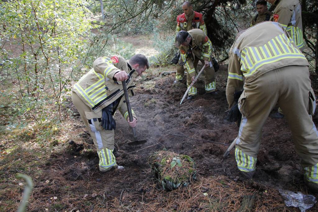 Brand in bosgebied snel geblust