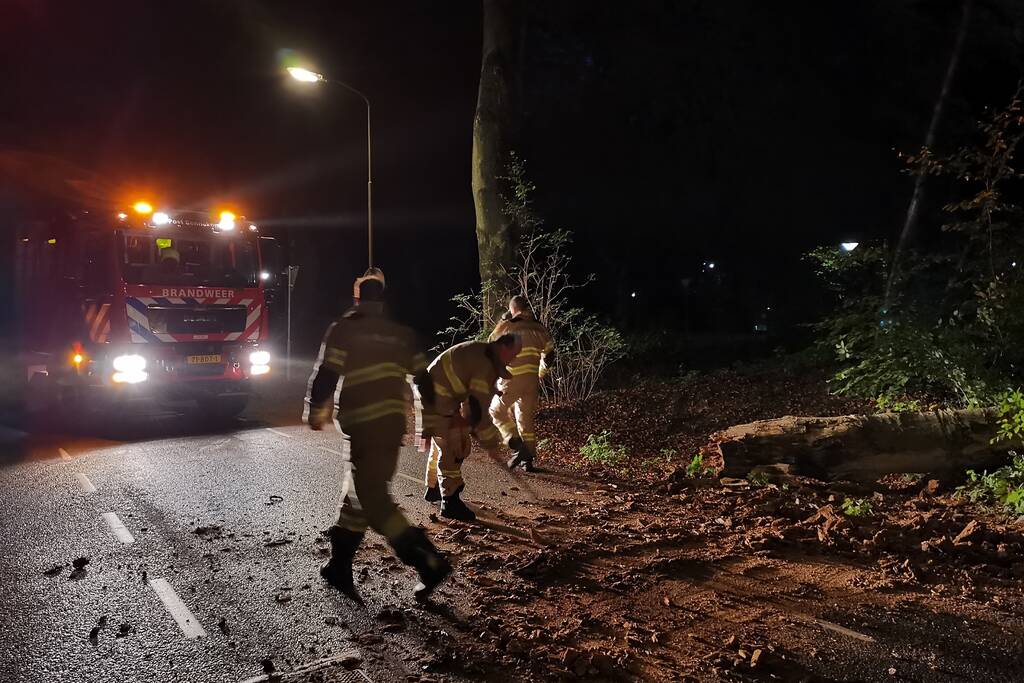 Brandweer verwijdert verrotte boom van de weg
