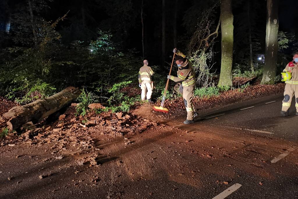 Brandweer verwijdert verrotte boom van de weg