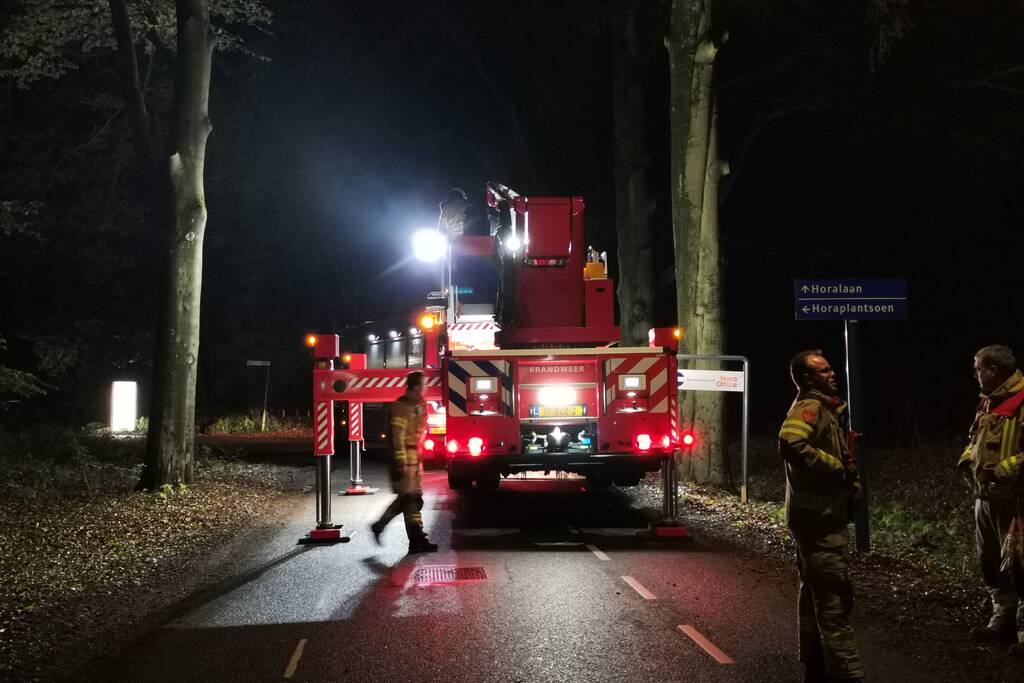 Brandweer verwijdert verrotte boom van de weg