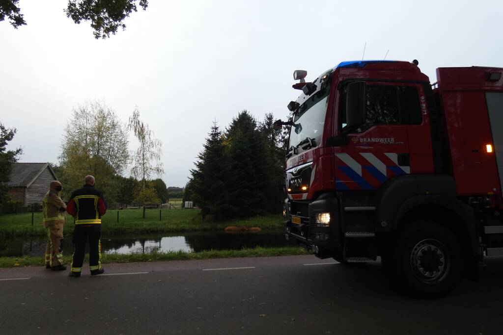 Twee koeien belanden in een sloot