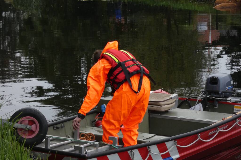 Twee koeien belanden in een sloot