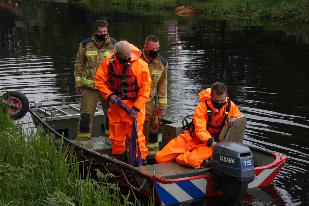 Twee koeien belanden in een sloot