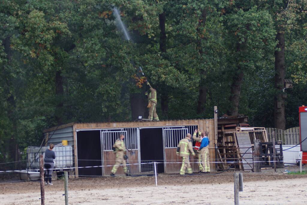 Brandweer spuit koppige kat uit boom