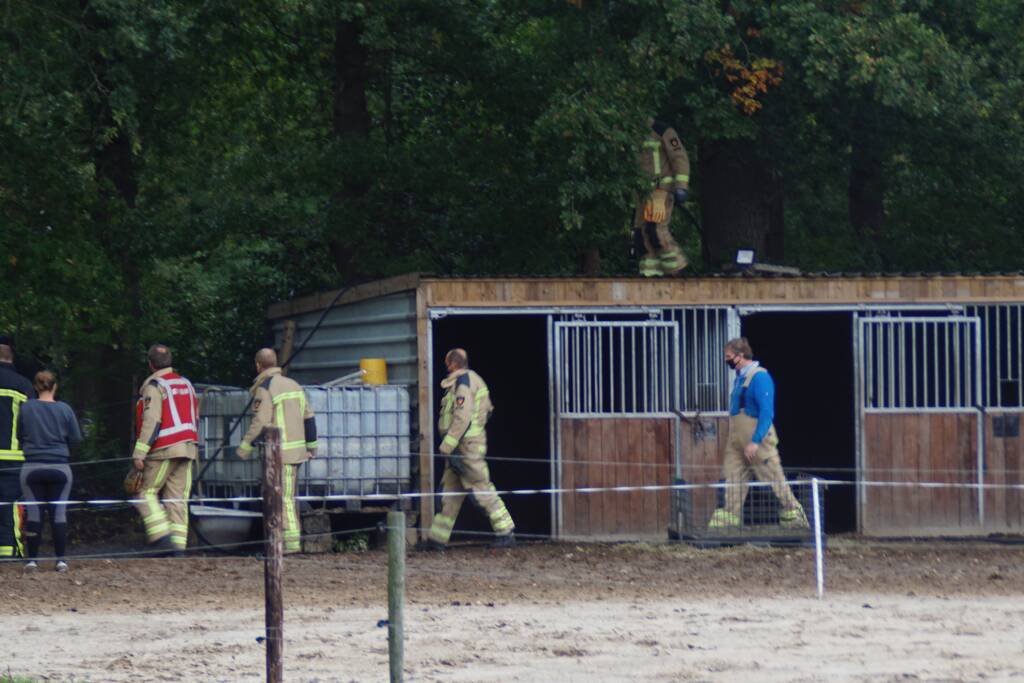 Brandweer spuit koppige kat uit boom