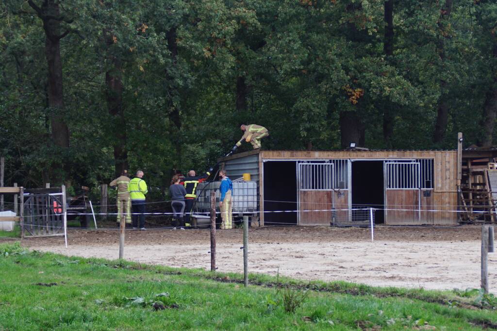 Brandweer spuit koppige kat uit boom