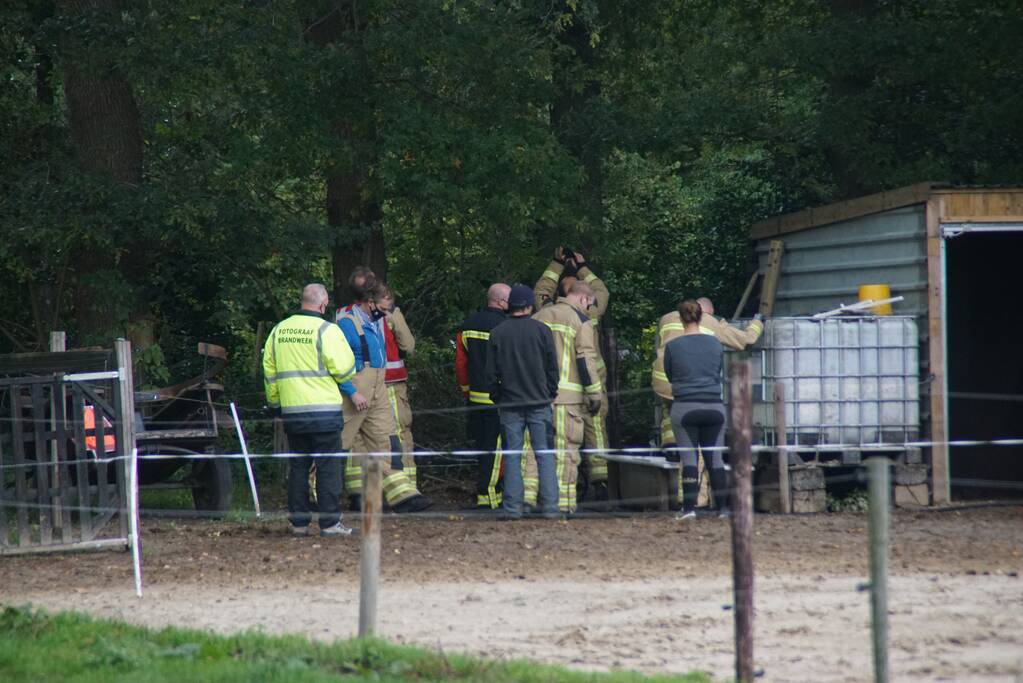 Brandweer spuit koppige kat uit boom