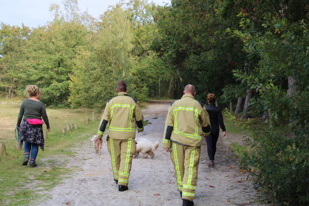 Brand in bos bagelhuiseplas