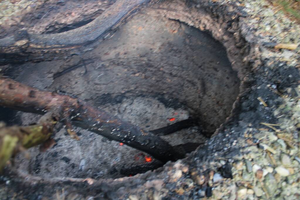 Brand in bos bagelhuiseplas