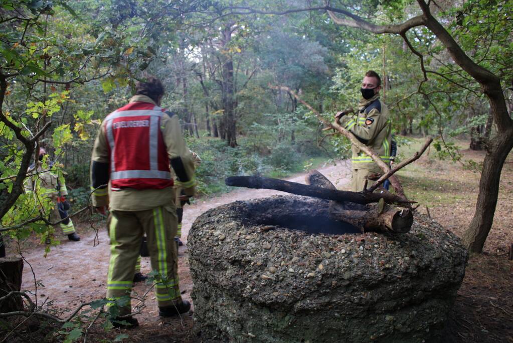 Brand in bos bagelhuiseplas
