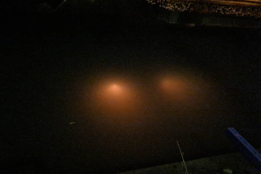 Bestelbus zanger Jason Bouman raakt te water