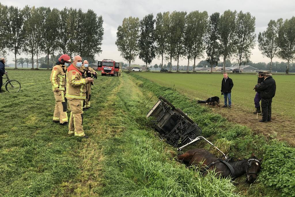 Paard en wagen valt in sloot