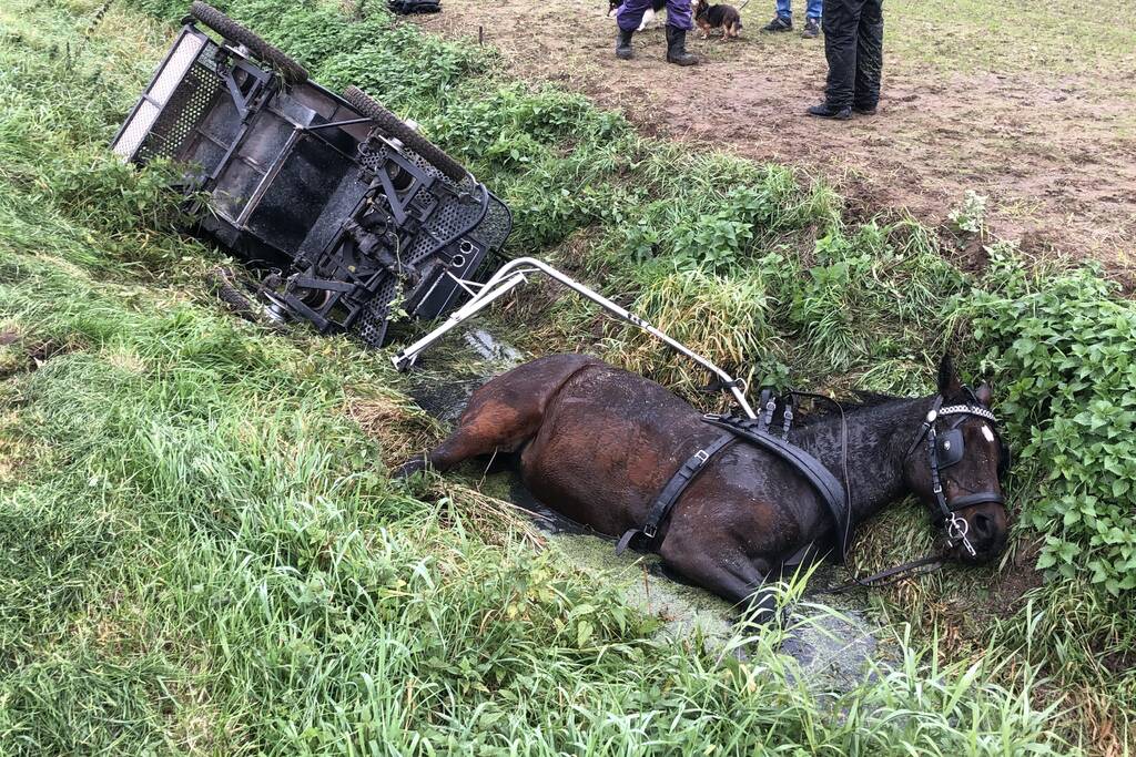Paard en wagen valt in sloot