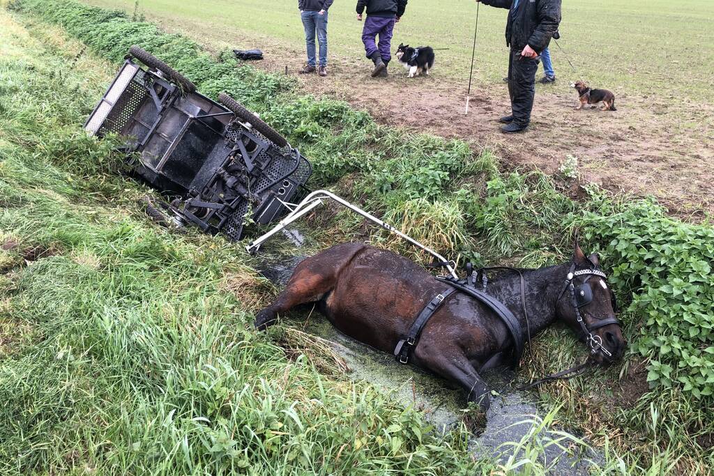 Paard en wagen valt in sloot