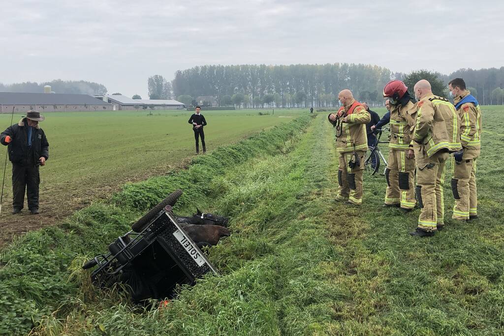 Paard en wagen valt in sloot