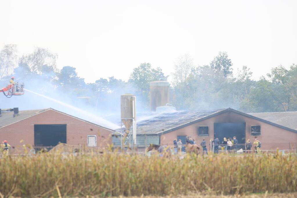 Felle uitslaande brand in stal met hooi