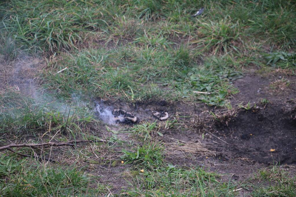 Brand in de duinen snel onder controle