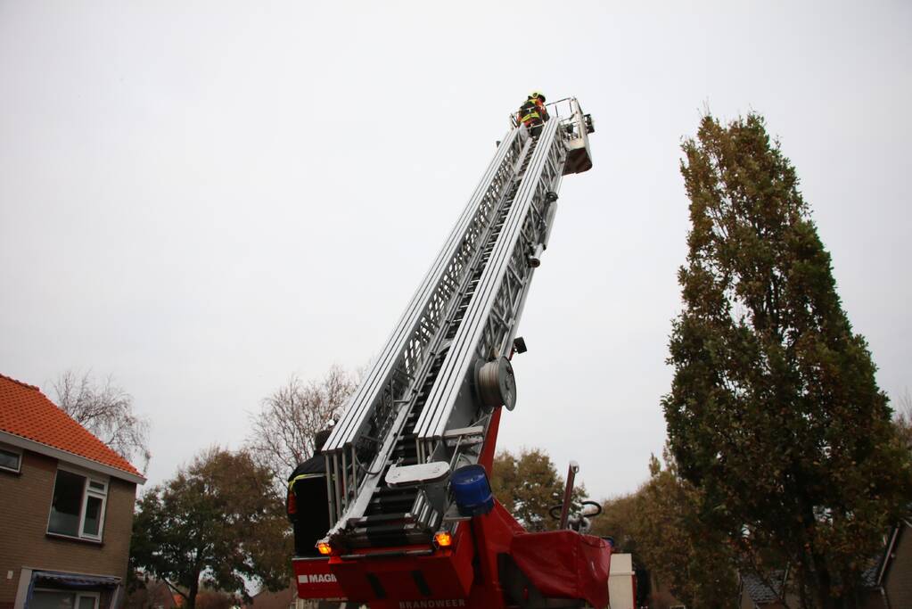 Brandweer redt kat van dak