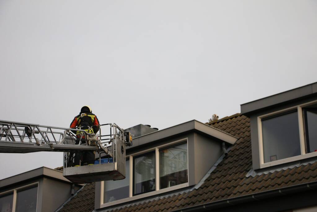 Brandweer redt kat van dak