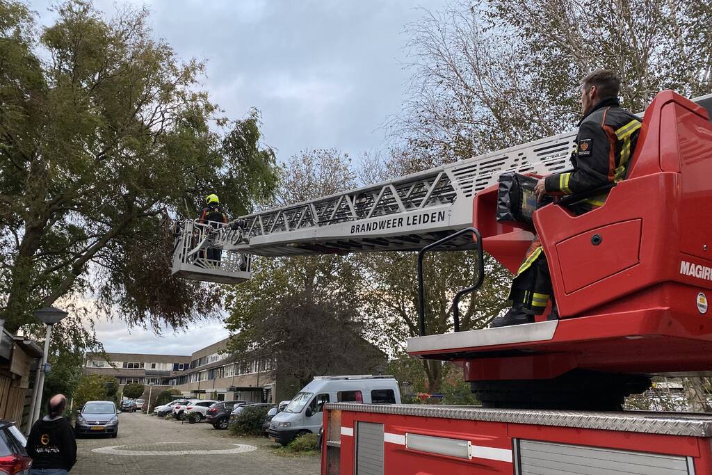 Gevaarlijke hangende tak zorgt voor onveilige situatie.