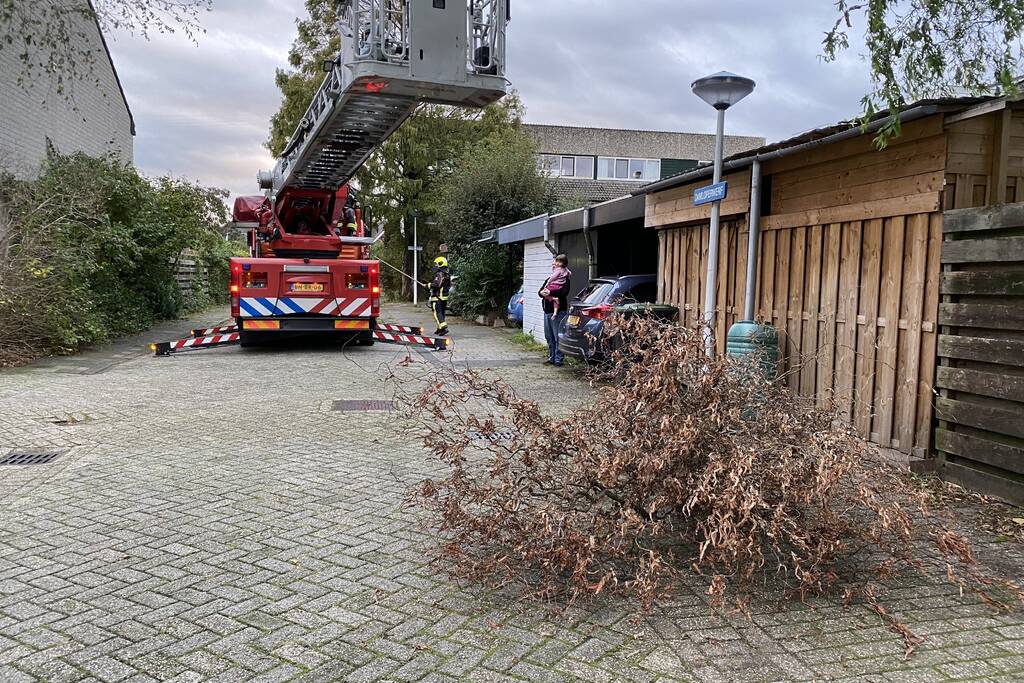 Gevaarlijke hangende tak zorgt voor onveilige situatie.