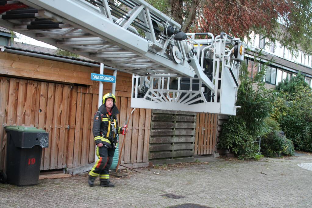 Gevaarlijke hangende tak zorgt voor onveilige situatie.